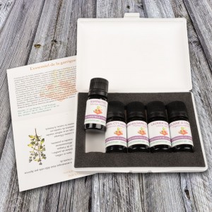 Dix usages de l'huile essentielle Orange : acidulée et citronnée - Blog  Young Living