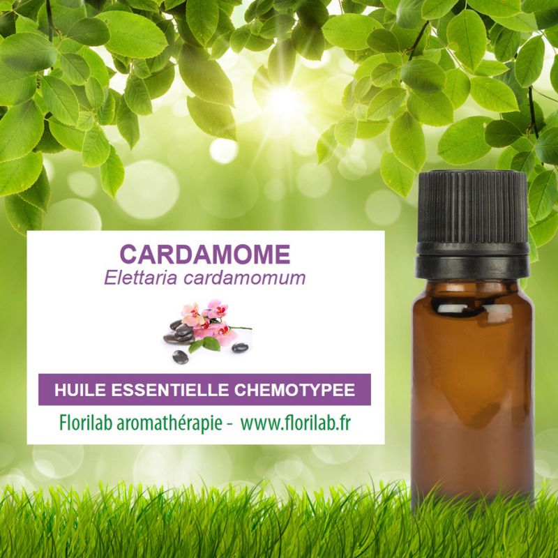 Huile essentielle de CARDAMOME