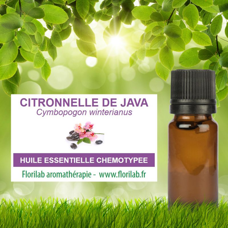 Les bienfaits de l'huile essentielle de citronnelle 