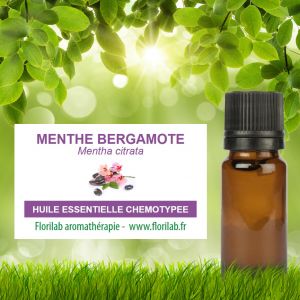 Huile essentielle de MENTHE BERGAMOTE