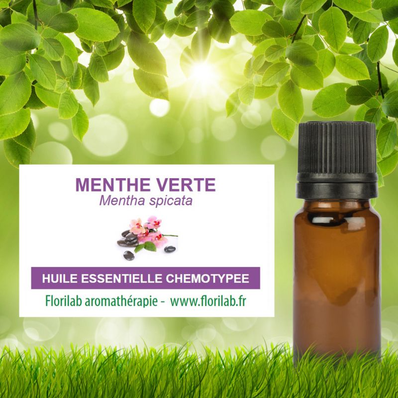 Huile Essentielle de Menthe Verte, Bienfaits de l'Huile Essentielle de  Menthe Verte