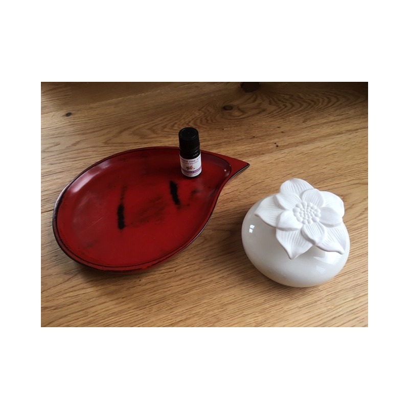 Diffuseur d'huiles essentielles floral par capillarité Diffuseur d'huiles essentielles floral par capillarité