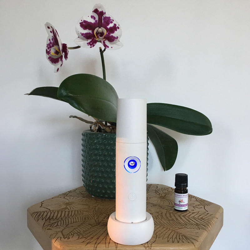 Comment choisir un diffuseur d'huiles essentielles ?