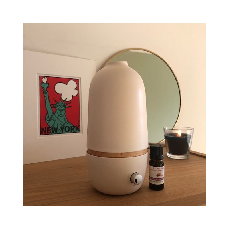 Diffuseur D'huiles Essentielles Par Nébulisation ONA By EKOBO - Marque AROMASOUND