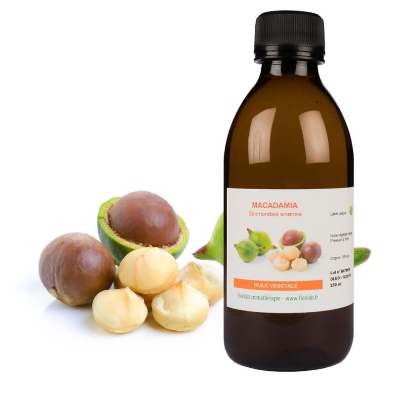 Macadamia ternifolia - Noix de Macadamia - Boutique Végétale