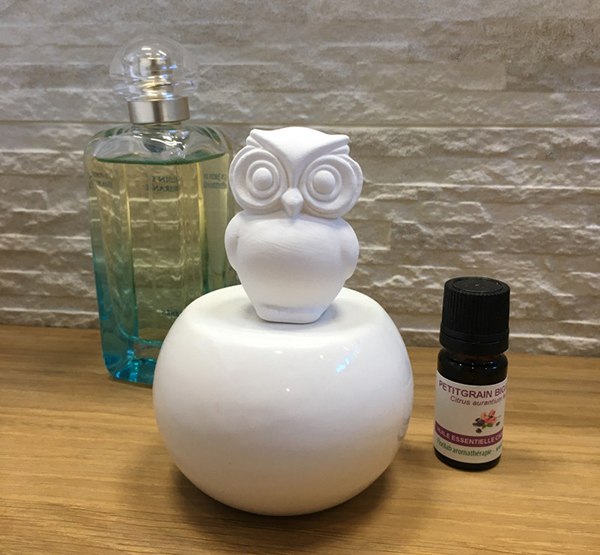 Le Diffuseur d'huiles essentielles par capillarité modèle Hibou