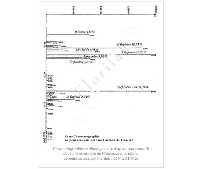 chromatographie huile essentielle arbre à thé