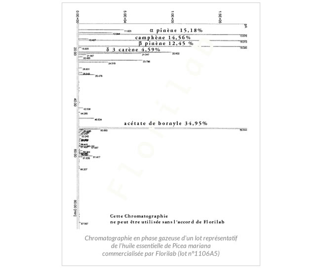 chromatographie huile essentielle epinette noire