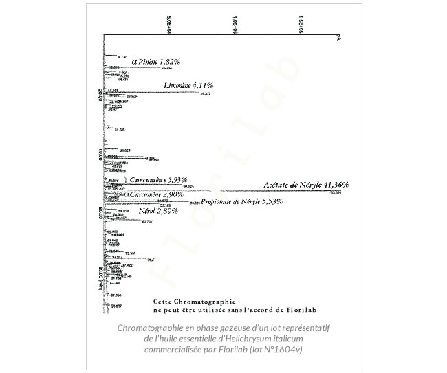 chromatographie huile essentielle d'immortelle