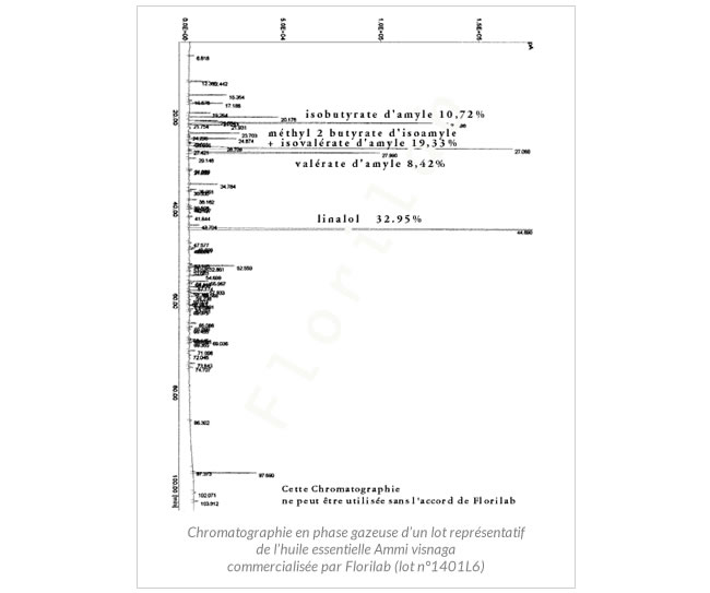 chromatographie huile essentielle de Khella