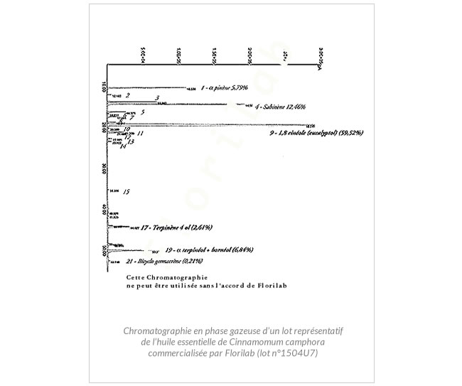 chromatographie huile essentielle ravintsara aromatica