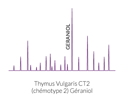 huile essentielle chémotypée geraniol
