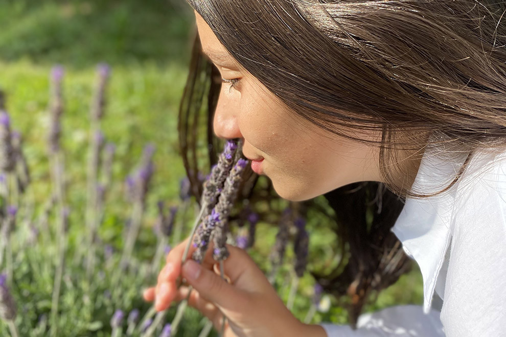 L'anosmie et la rééducation olfactive